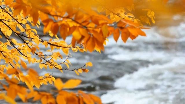 *ВРЕМЯ* - Автор Татьяна Ворона- читает Мила Мик-Продюссер видео Игорь Ворона. смотреть онлайн