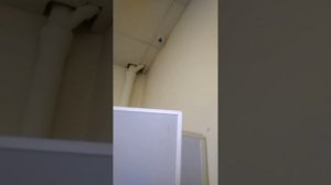 Как в туалете, в Москве,в общаге,поставили камеру в туалете,твориться беспридел,люди помогите с эти