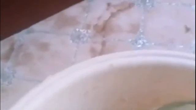 готовимся к зиме Солим капусту смотреть онлайн