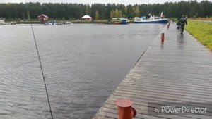 Кубок Рыбинска по спиннингу 2019 Коприно.Процесс. Погода жесть))