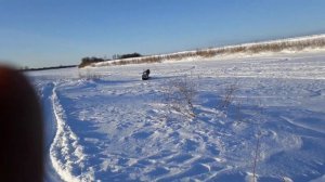 ПЕРЕВЕРНУЛСЯ НА МОТОСОБАКЕ С ТОЛКАЧЕМ)) ДОВЫЕЖИВАЛСЯ)))