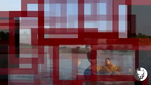 Сальто в воду