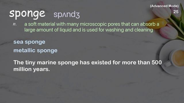 48 Advanced Academic Words Ref from "An underwater art museum, teeming with life | TED Talk" смотреть онлайн