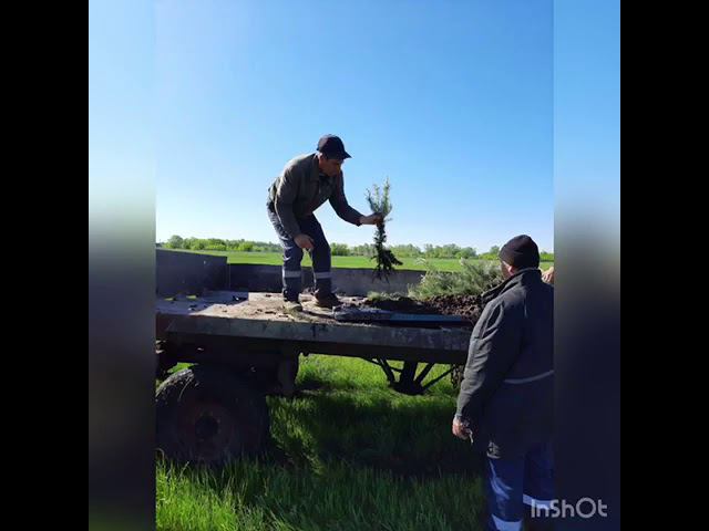 Жук Е В