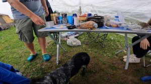 ОТДЫХ С ПАЛАТКАМИ НА ВОЛГЕ - 144км от Москвы