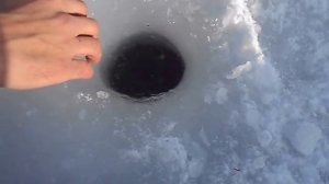 зимняя рыбалка в Липецкой области на Дону  январь 2016г. Сом_Елец