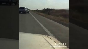 Армянские Нивы