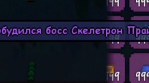 ГАЙД на скелетрона прайма в МАСТЕР МОДЕ за мага | terraria |skeletron prime