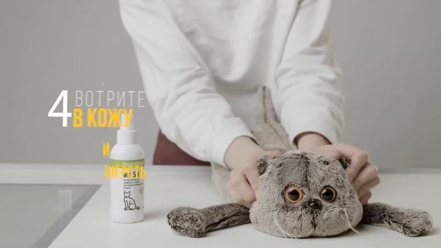 Инструкция по использованию шампуня-спрея для кошек смотреть онлайн