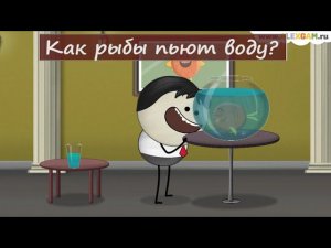 Как рыбы пьют воду?