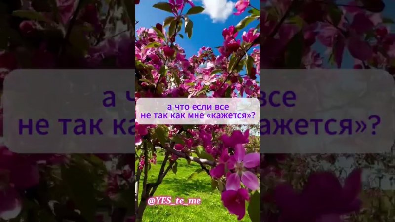 Твой ВЫБОР #вибрации #осознанность #жизнь #5d #творец #любовьксебе #ценностьсебя #всёхорошо