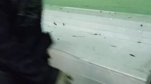 Декоративные карнизы из пенопласта для крепления на фасад дома, вот как выглядят заготовки