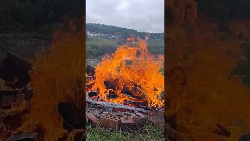 "Красный петух"! Пожиратель всех и вся! Испепеляющий реальность! Могучее величие языков пламени!