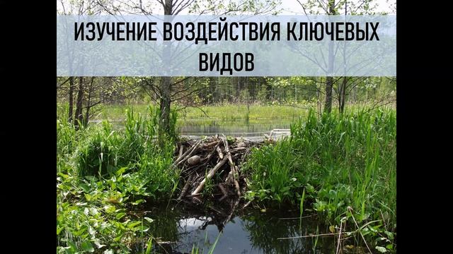 Кафедра общей экологии и гидробиологии смотреть онлайн