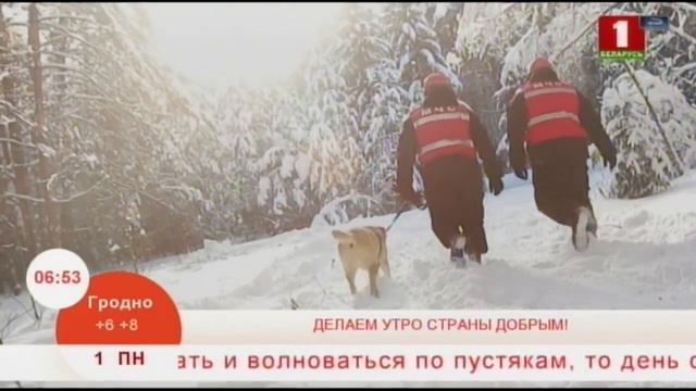О работе кинологов МЧС в сюжете Беларусь-1 смотреть онлайн