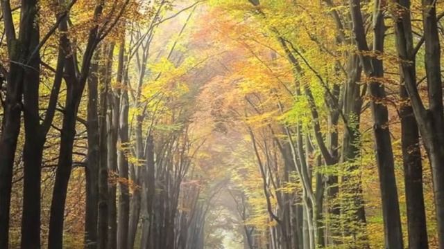 Анна Ахматова, "Есть в близости людей…" смотреть онлайн