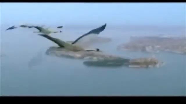 ПТИЦЫ автор и исполнитель песни Владимир Восточный смотреть онлайн