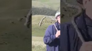 Даргинский язык. Шуточный диалог на языке с. Кунки