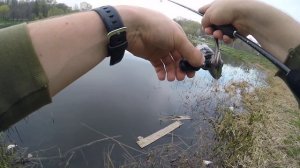 Ловля красноперки на спиннинг