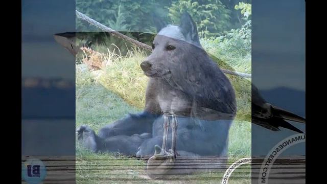 мутанты чернобыля смотреть онлайн