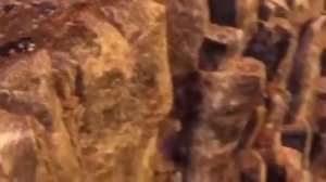 МУЛЬТФИЛЬМ ХРАБРАЯ СЕРДЦЕМ✨Песня Мериды "Небо крыльями обнять"