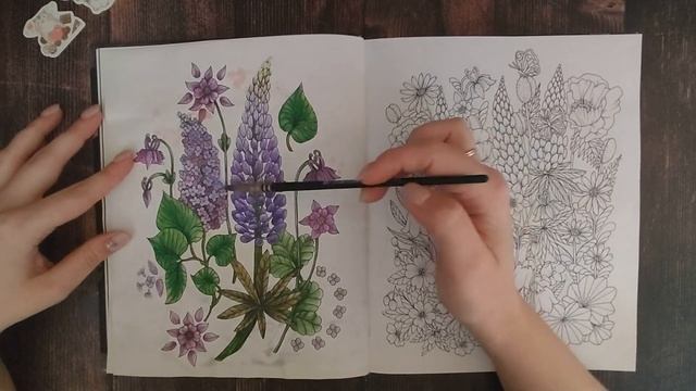 Моя КОЛЛЕКЦИЯ РАСКРАСОК! 1 ЧАСТЬ / Раскраски антистресс / Coloring book collection