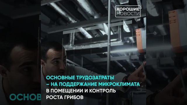 В Брянской области завели грибное дело