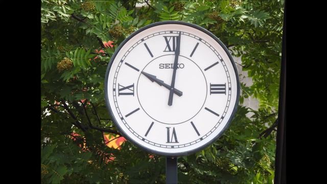 Diamond Princess in OTARO.... Circle Hokkaido 10days Travel Japan 2017 ! смотреть онлайн