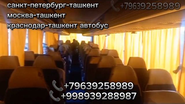Санкт-петербург-ташкент автобус