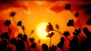 МИГ РАЗЛУКИ ТАК ДОЛОГ, авторы: Злата Лазарева и Надежда