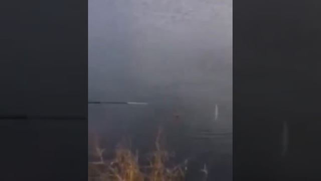 Шок!Мужик тягает окуней на сало с бешеной скоростью! смотреть онлайн