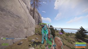 Проверил урон на своем тиммейте в Rust/Раст