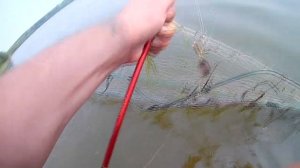 Рыбалка на спиннинг  Выловил сети браконьера.mp4