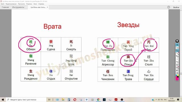 Ци Мэнь: Небесная Птица(Тянь Цинь)