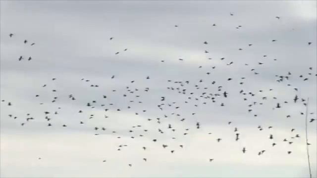 база фрегат смотреть онлайн