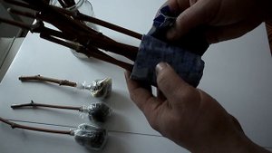 Укоренение черенков винограда в ноябре.