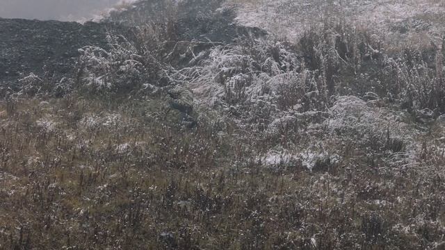 Такого ещё не было!!! Охота с луком на Кавказе! трофей Дагестанский Тур! смотреть онлайн