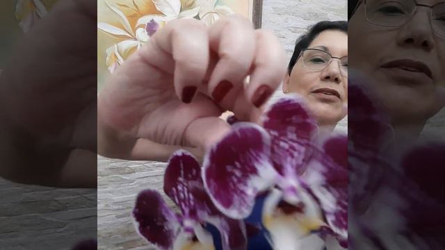 Muitas NOVIDADES e preços $$$ BAIXOS!!! SEMANA 13/12/23 смотреть онлайн