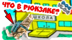 DOGVLOG_ ХАСКИ ИДЕТ В ШКОЛУ! ЧТО В МОЕМ РЮКЗАКЕ Говорящая собака.