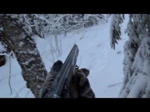 На ЗАЙЦА в -25... Охота на ЗАЙЦА. Сезон 2021-2022г.