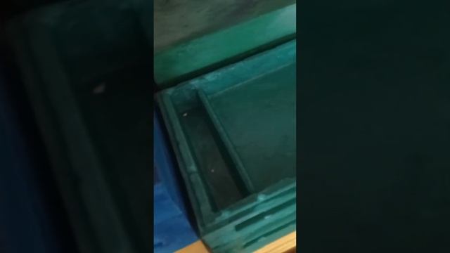 пчеловодства заливка улья ппу смотреть онлайн