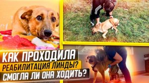 Подруга Феникса после реабилитации в Москве ИЩЕТ ДОМ