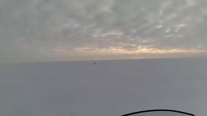 степные охотники 6 охота на волков