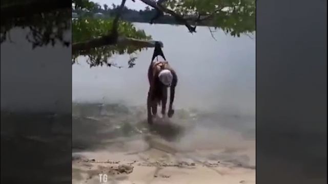 День не задался-1.mp4 смотреть онлайн