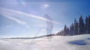 ИДУТ БЕЛЫЕ СНЕГИ    Евгений Евтушенко   стихи