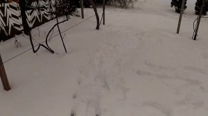 Оригинальное укрытие винограда на зиму "ПИТОН"