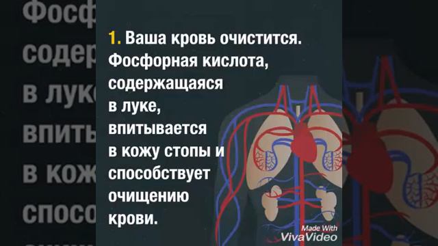Лук. Лечение луком. Лук приложить в стопу