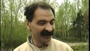 Городок   Из жизни дачников