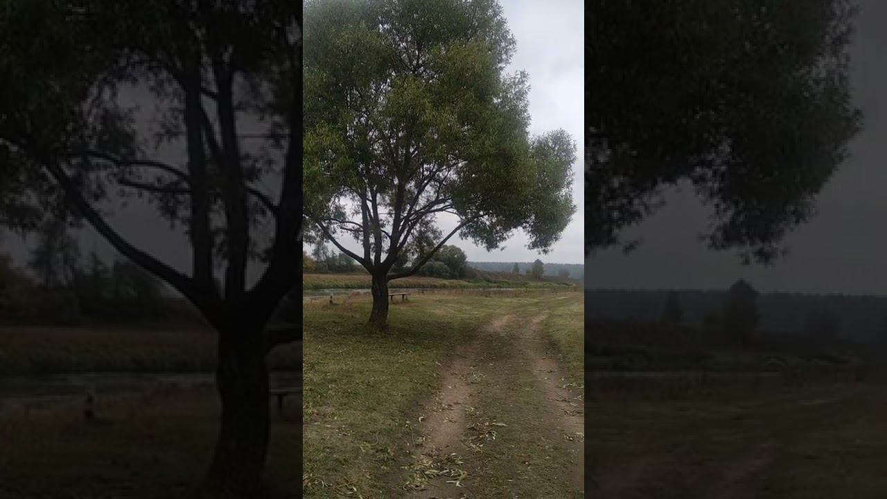 23 сентября 2022 г. смотреть онлайн