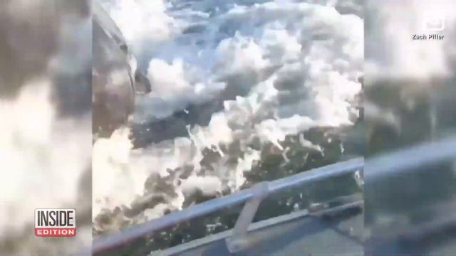 Кит выпрыгнул из воды и испугал рыбака смотреть онлайн